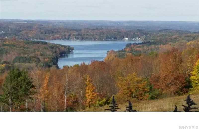 Spectacular View of Rushford Lake - features 2 houses on 96 Acres